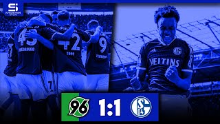 Hannover 96 - FC Schalke 04 1:1 | Tore & Highlights | Stadion Reaktion