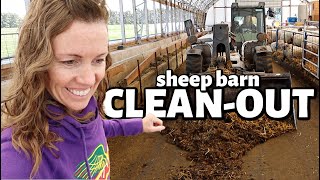 my first day back in the SHEEP BARN.  *it was a DIRTY ONE.💩  | Vlog 627