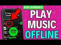 How To Play Music Offline On Spotify (2024)