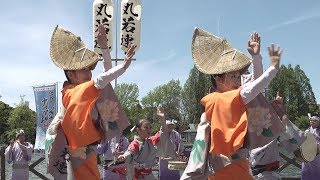 水上テラスで舞う「丸若連」第8回JAPAN FESTA 2019 春 阿波踊り（2019.4.28）