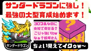 【城ドラ】サンダードラゴン？余裕で倒せる大型がいます！サンドラなんて怖くない！