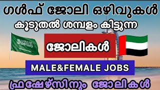 ഗൾഫ് ജോലി ഒഴിവുകൾ | dubai jobs | gulf jobs | job vacancy | ജോലി ഒഴിവുകൾ  | job vacancy 2024