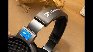 Okay so Sennheiser can do nice stuff if they try