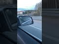 rabbit speeds past car in rovaniemi finland