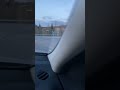 rabbit speeds past car in rovaniemi finland