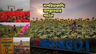 মাত্র ২০৳ টিকেটে নরসিংদী নাগরিয়াকান্দি সানফ্লাওয়ার গার্ডেন থেকে ঘুরে আসুন || Sunflower garden