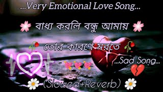 তুই ছিলি এই বুকের ভেতর।Tui sili ei buker vetor।Slowed Reverb।Bangla New Sad Song #Tawhidsangbangla