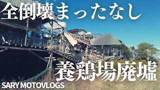 【倒壊を待つ廃墟】千葉県香取郡に残る養鶏場廃墟