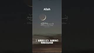 古兰经注释（忏悔章）#allah #古兰经 #穆罕默德 #islam #伊斯兰#kuran