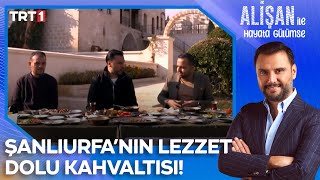 Şanlıurfa'nın lezzet dolu kahvaltısı! | @AlisanileHayataGulumseTRT