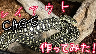 【初ヘビCageガチレイアウト】どデカい流木を使ってセンス良く仕上げてみました！