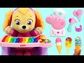 Paw Patrol Baby Skye Toy Hospital Checkup with Peppa Pig Doctor Tools Super Video!