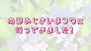 南部あじさいまつりに行ってきました！