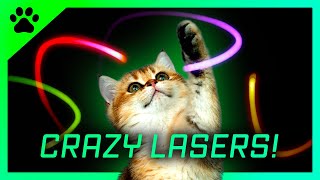Cat games Crazy LASERS ! A fun video for cats to watch
