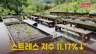 치유농장 '힐링팜'을 아시나요 [말하는 기자들_경제_0510]