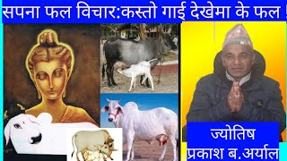 सपनाफल विचार:गाई देखेमा कस्ताे फल प्राप्त हुन्छ त !!