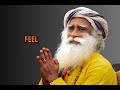 learn to be happy alone best motivation speech by sadhguru