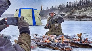 БЕЗУМНЫЙ КЛЁВ ПРОДОЛЖАЕТСЯ! РЕКОРДНЫЙ ОКУНЬ ГОРБАЧ, ЩУКИ, НАЛИМ!