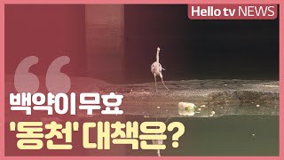 [기획보도⑤] 부산 도심 하천의 모습은?…백약이 무효 '동천' 대책은?