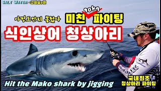 #고피싱 5편 -    #왕돌초 식인상어 #청상아리 와 사투 / fighting with massive Mako shark by Jigging. (고피싱 7편 ) #왕돌초상어