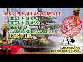 Pameran bonsai Magelang 2022 ||Best in Show best ten full bendera merah kelas Utama.