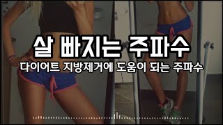 [다이어트] 살 빠지는 주파수 🔥 지방을 활활 태우기 ver.2