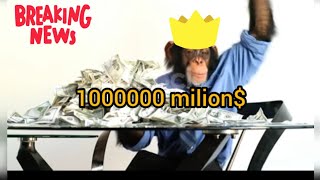 the monkey won the lottery 1 milion dollars $$$$ win monkey