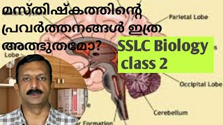 brain function class for SSLC students, തലച്ചോറിൻ്റെ പ്രവർത്തനം മഹാ അത്ഭുതം