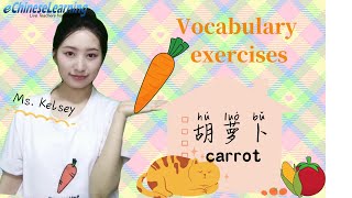 Beginner Chinese Lesson \