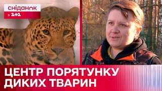 Як одна людина врятувала безліч диких тварин: центр порятунку тварин та засновниця Наталія Попова