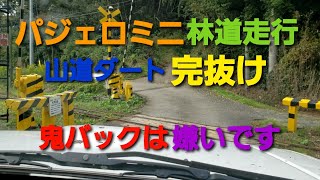 パジェロミニ　ジムニーに負けず劣らず林道走行🚙心地よい揺れの山道の先には？