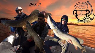 MONKEYBOYSFISHING | DEL 2, GÄDDBUFFÉ | HÖSTEN 2018 |