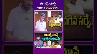 ఈ సర్వే చూస్తే YCP లో భూకంపమే..! #apelections2024 #ysrcp #tdp #janasena #apelectionsurvey #apnews