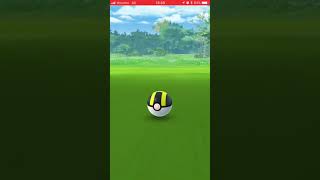 ポケモンGO ツボツボ色違い出た😀