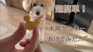 超簡単な犬用の手作りさつまいもクッキーあげてみた！