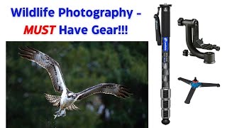 Leofoto - Best Monopod Ever!  An extremely easy and portable setup!!!