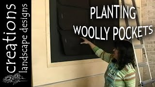 Planting Woolly Pockets At Green Bliss