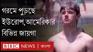 ইউরোপ, আমেরিকায় তীব্র গরমে হাঁসফাঁস: চুপসে যাচ্ছে আঙ্গুর