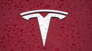 Two US senators call for Tesla recalls | REUTERS