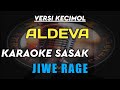 KARAOKE SASAK JIWE RAGE VERSI KECIMOL ALDEVA || KARYA CIPTA AMAQ SAEN