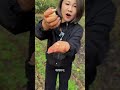 东北农村生活vlog 新农人计划2024 大山里的味道 新鲜采摘