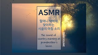 시골아침 ASMR I 청각자극 분위기 입체음향 백색소음 I 공부 수면 팅글 / Morning of grandmother's home I tingle ambience mood