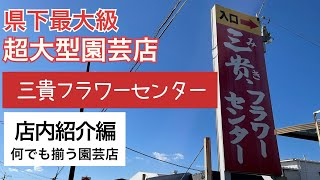 【三貴フラワーセンター】店内紹介！何でも揃うお花屋さん！！【本店売り場】