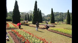 Tour of the National Kandawgyi Botanical Gardens (Pyin Oo Lwin, Myanmar)