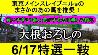 【競馬予想】6月17日の特選一鞍【大根おろし】