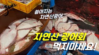 자연산 광어회가 엄청 싼데 먹지 말아야 하는 이유... 하지만 이렇게 먹으면 가성비 완전 좋아요!!!