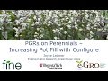 PGRs on Perennials Increasing Pot Fill with Configure