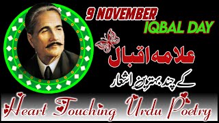 Allama Iqbal poetry|Allama Iqbal Urdu poetry|علامہ اقبال شاعری|Iqbal day shayari|#babuljananofficial