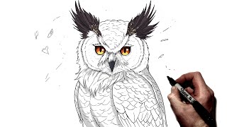 How To Draw A Great Horned Owl | Step By Step