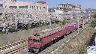 【JR貨物】遅２０７１レ ＥＦ８１-４０３ 東札幌日通コンテナ積載